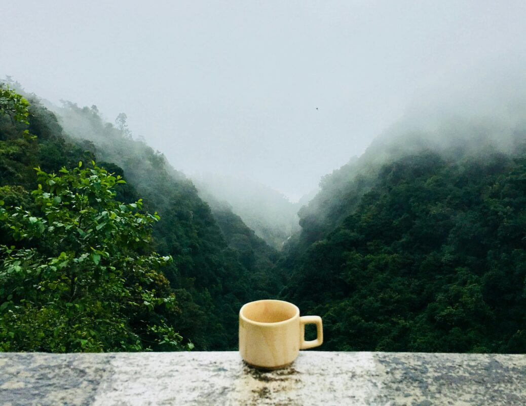 A solitary tea cup placed before a misty mountain valley, symbolizing stillness and elemental connection in tea