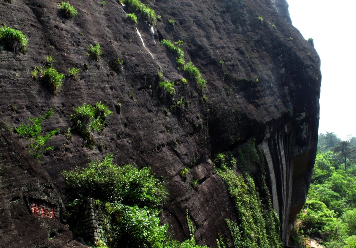 Close-up of rugged Wuyi cliffside terrain where rock oolong tea is traditionally grown