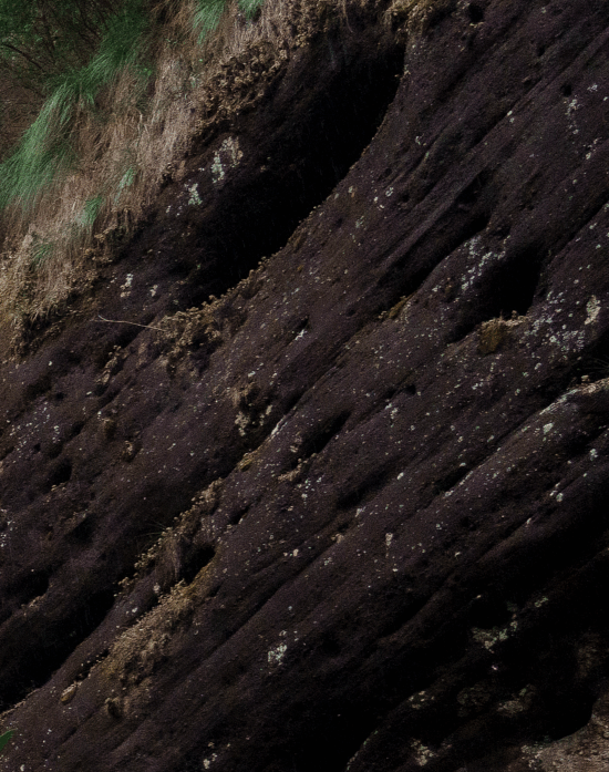 Rocky cliffs of the Wuyi Mountains, the origin of Dahongpao and the source of its distinctive rock rhyme (yan yun)