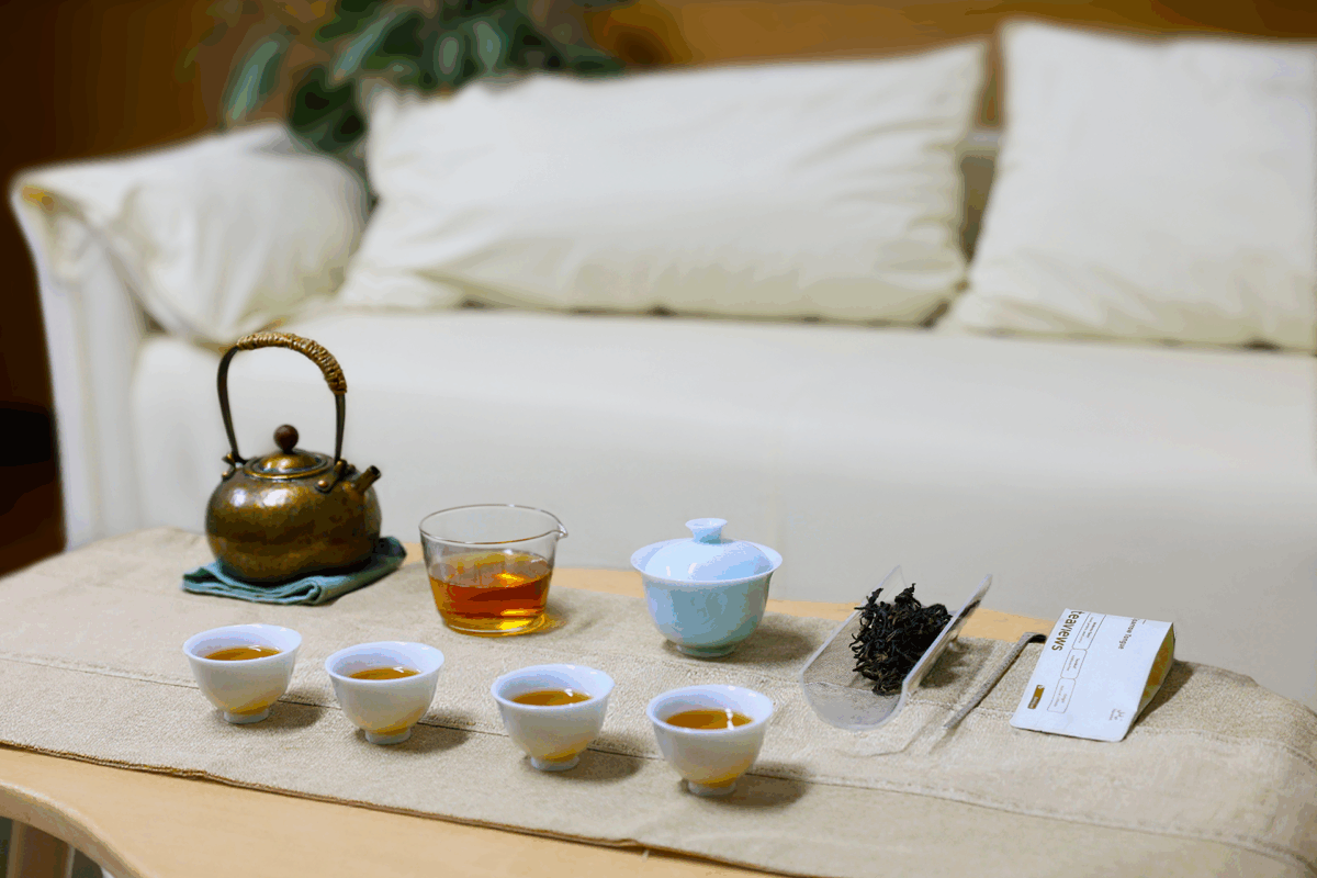 Portable porcelain gongfu tea set arranged for hosting guests in a calm and refined tea gathering setting