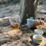 Wuyi rock tea served outdoors on a natural stone surface in a forest setting, highlighting tea cups and a teapot with ambient natural light.