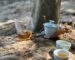 Wuyi rock tea served outdoors on a natural stone surface in a forest setting, highlighting tea cups and a teapot with ambient natural light.