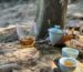 Wuyi rock tea served outdoors on a natural stone surface in a forest setting, highlighting tea cups and a teapot with ambient natural light.