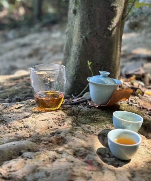 Wuyi rock tea served outdoors on a natural stone surface in a forest setting, highlighting tea cups and a teapot with ambient natural light.