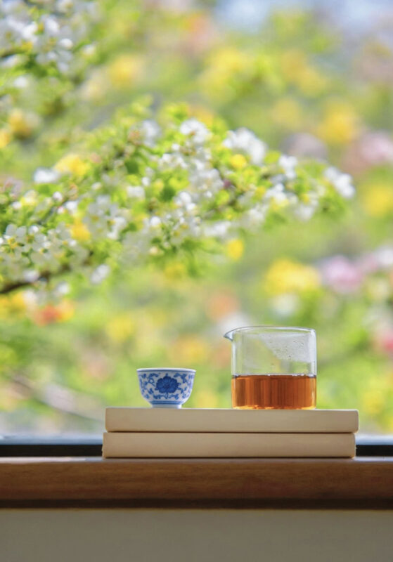 A small cup of Chinese tea enjoyed by the window in soft spring morning light