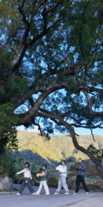 Teaviews team walking in Wuyi mountains during an origin tea journey