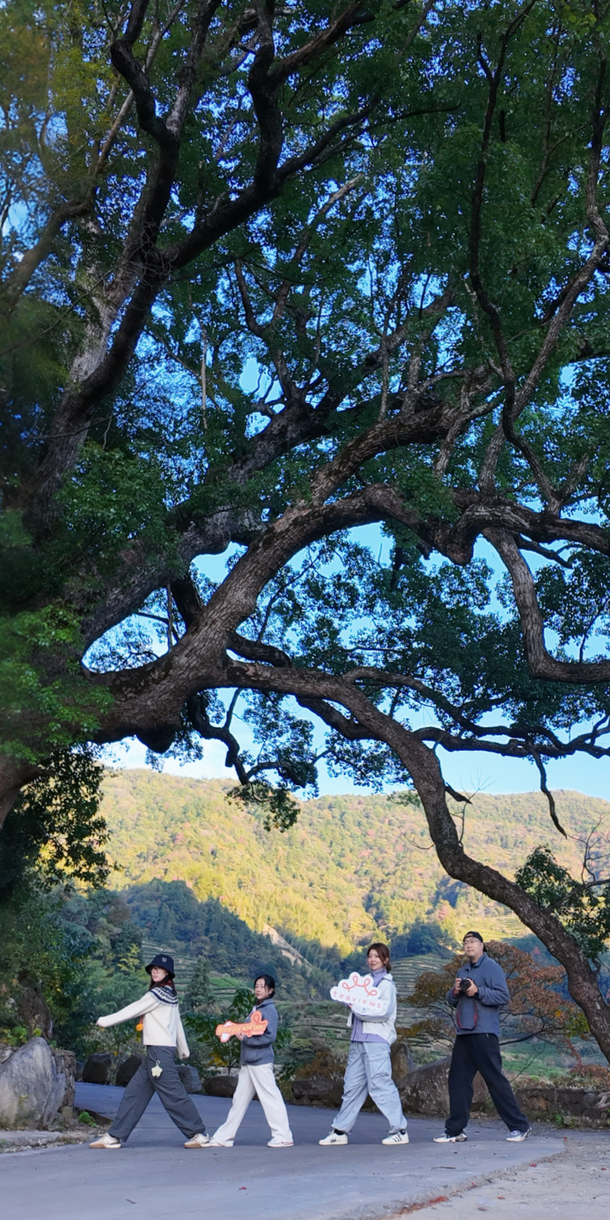 Teaviews team walking in Wuyi mountains during an origin tea journey