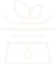 Add an appropriate amount of loose leaf tea for cold brewing.