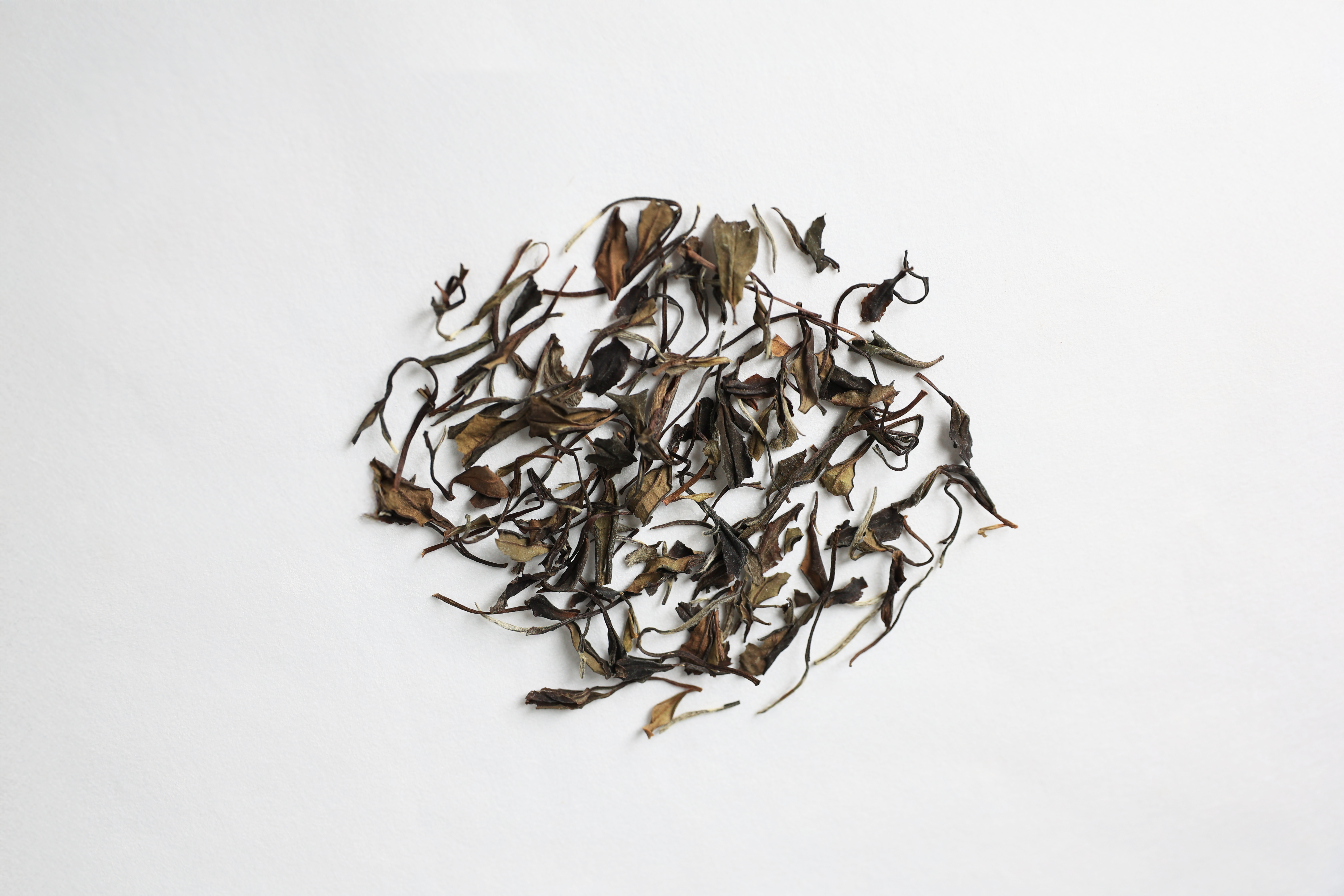 Dry leaves of Jianyang Bai Mu Dan white tea with silvery buds and tender leaves.