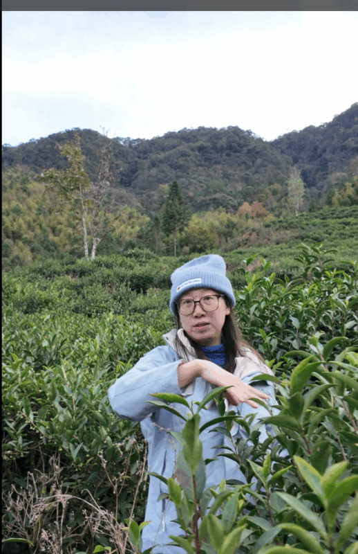 Charlotte in a tea garden in Tongmu Village, Wuyi Mountains, origin of Zhengshan Xiaozhong black tea