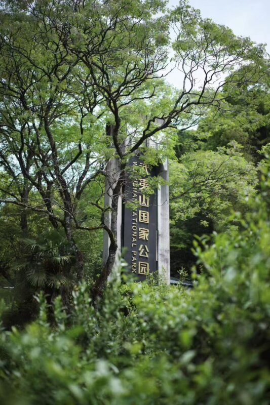 A sign near Tongmu Village in Wuyi Mountain National Park, the origin area of Zhengshan Xiaozhong black tea.