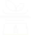 Add the recommended amount of loose leaf tea for brewing.