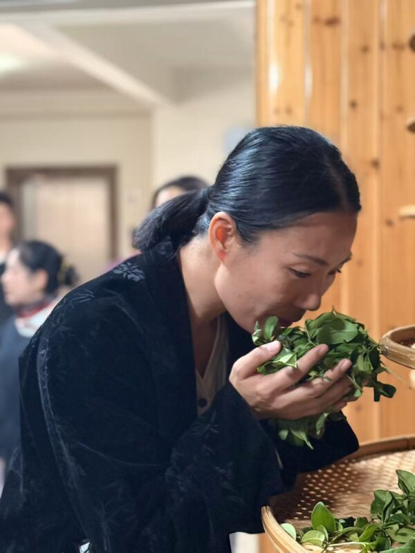 Ling Chen smelling freshly processed tea leaves during a visit to Wuyi Mountain