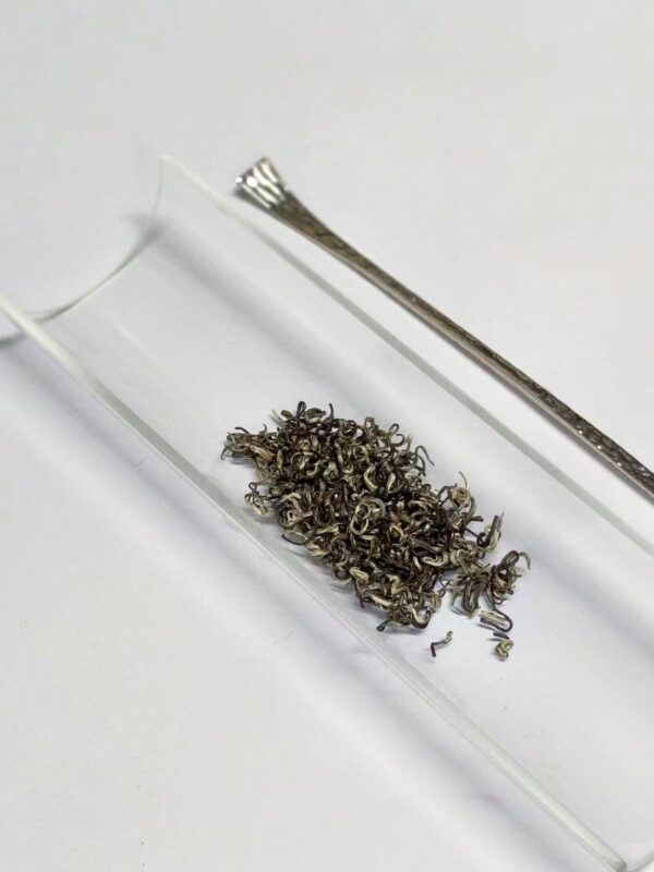 Hengxian jasmine tea leaves used for summer cold brew