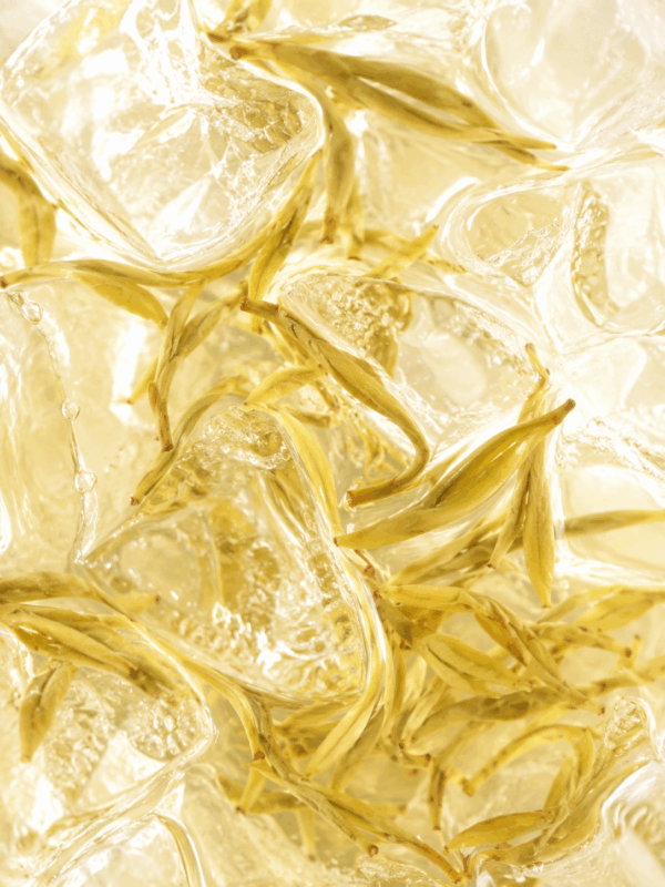 Cold-brewed jasmine tea with ice and tea leaves