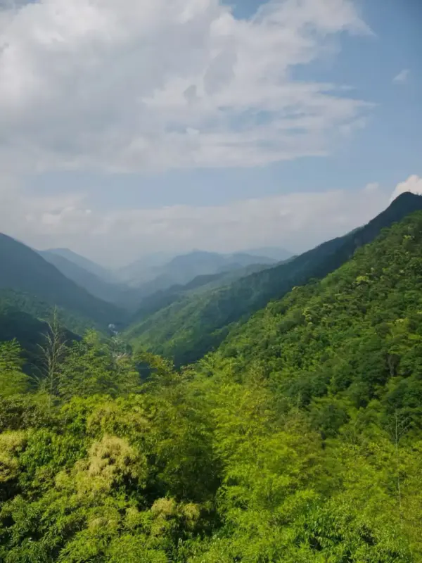 A green mountain valley with forested slopes beneath a cloudy sky.